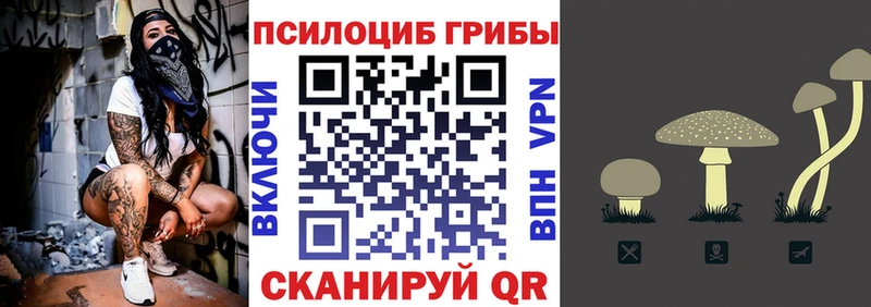 Псилоцибиновые грибы Psilocybe blacksprut как войти Суровикино
